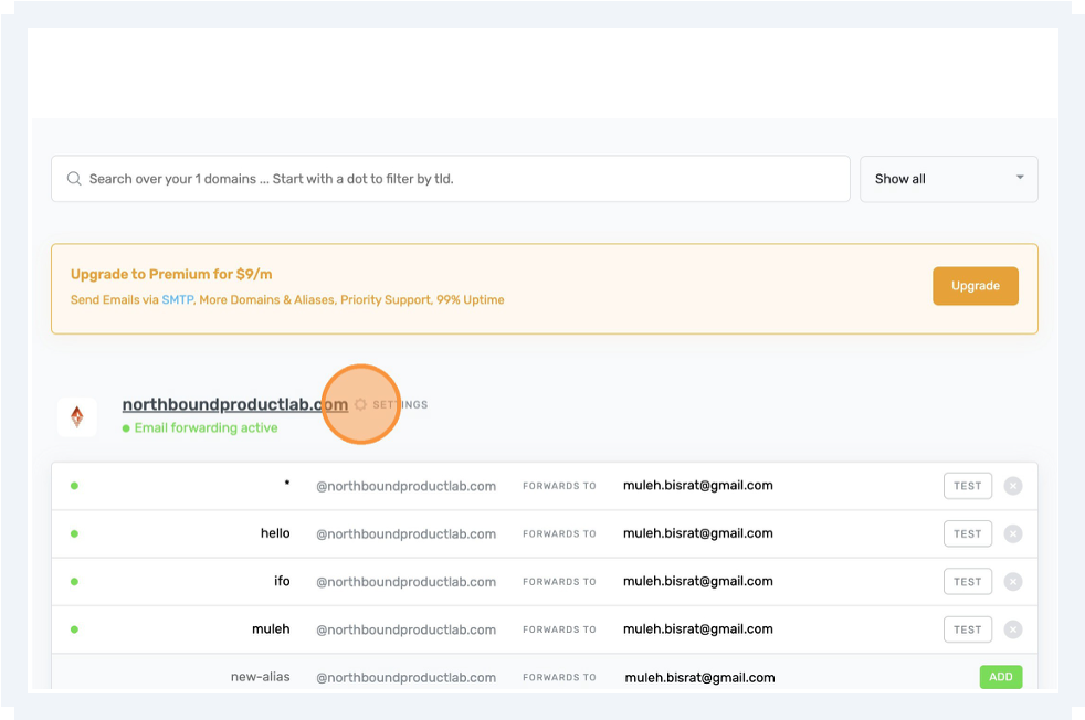 DNS Manager